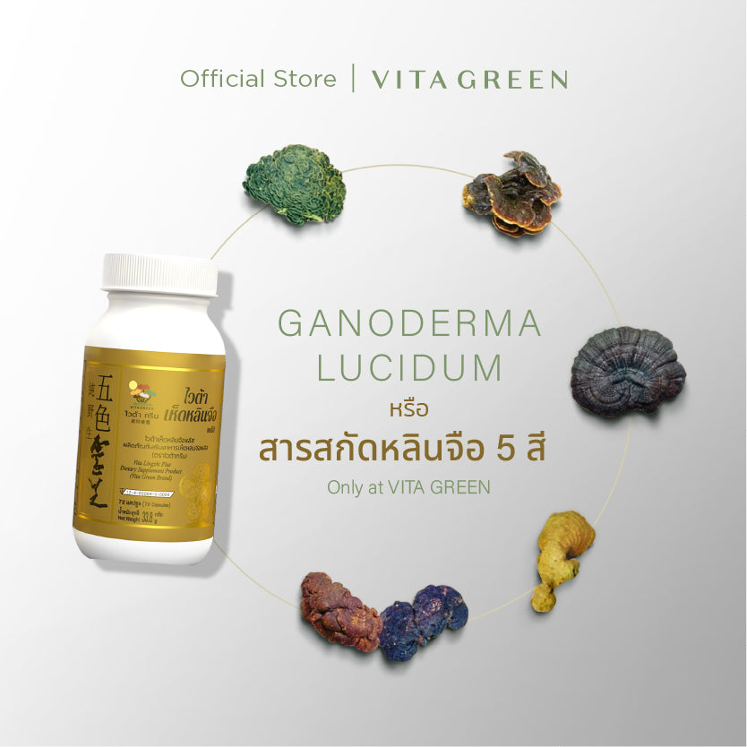 VITA LINGZHI PLUS DIETARY SUPPLEMENT PRODUCT (VITA GREEN BRAND) ไวต้าเห็ดหลินจือพลัส ผลิตภัณฑ์เสริมอาหาร(ตราไวต้ากรีน)